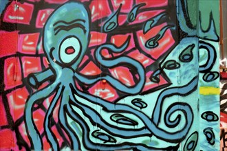 A colourful graffiti of an octopus with outstretched tentacles on an urban wall,