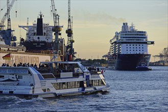 Europe, Germany, Hamburg, Elbe, passenger ship, Mein Schiff 6, arriving, left floating dock,