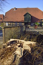 Europe, Germany, Lower Saxony, tree stump, tree felling, hollow, diseased tree, Hamburg, Hamburg,