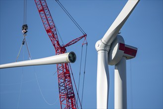 Assembly of a wind turbine, the last rotor blade is being mounted, mobile crane, wind turbine from