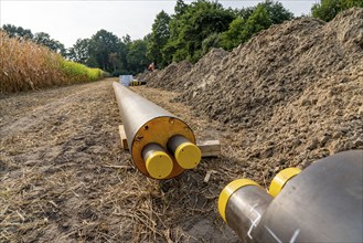 Laying of district heating pipes, next to a field, with maize, the district heating comes from a