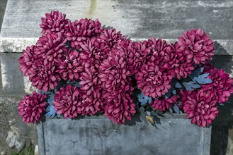 Faded fabric flowers on a grave in the Staglieno Monumental Cemetery, Cimitero Monumentale di