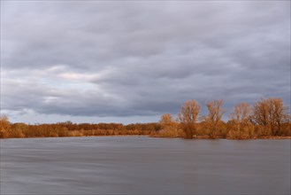 Elbe near Dessau in the morning, morning atmosphere on the Elbe, Flood on the Elbe, Middle Elbe