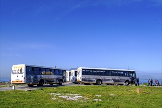 Robben Island, prison island near Cape Town, Cape Town, Western Cape, South Africa, Africa