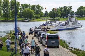 Rhine ferry Urdenbach-Zons, on the Urdenbachen Kämpe, Lower Rhine cultural landscape, Düsseldorf,