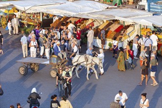 Place Djemaa el Fna Marrakech, Morocco, Africa