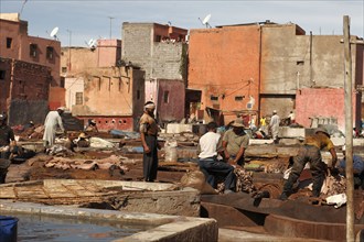 Traditional tannery with dyeing vats for animal skins, Marrakech, Morocco, Africa