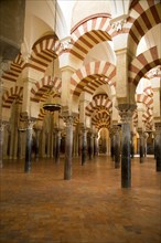 Moorish arches in the former mosque now cathedral, Cordoba, Spain, Europe