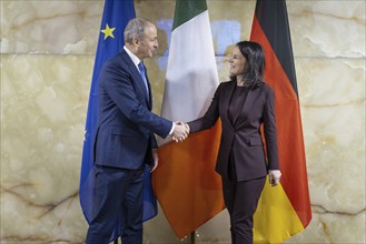 Federal Foreign Minister Annalena Bärbock, Buendnis90/Die Grünen, meets the Foreign Minister of