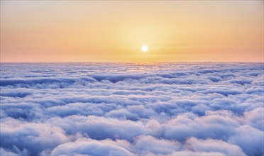 Aerial view of sunrise sky above clouds at Fanal mountain, Madeira island, Portugal, Europe