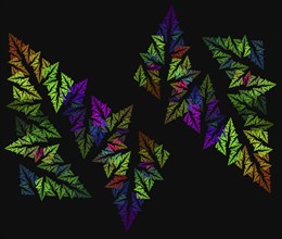 Abstract fern leaf fractal on the black, computer generated graphics