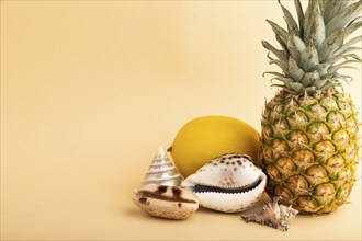 Ripe pineapple, melon, seashells on orange pastel background. Side view, copy space. Tropical,