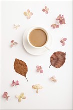 Composition with brown beech autumn leaves, hydrangea flowers and cup of coffee. mockup on white