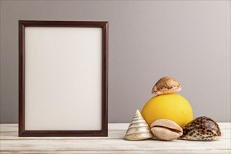 Wooden frame with melon, seashells on gray pastel background. Side view, copy space. Tropical,