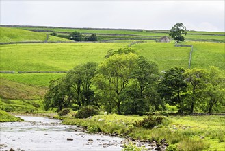 Farms in Yorkshire Dales National Park, North Yorkshire, England, United Kingdom, Europe