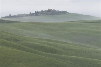 Landscape at sunrise around Volterra, Province of Pisa, Tuscany, Italy, Europe