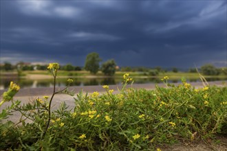 Thunderstorm front builds up over Radebeul on the banks of the Elbe, Radebeul, Radebeul, Saxony,