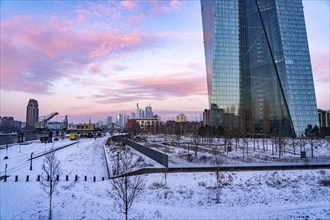 The skyline of Frankfurt am Main, skyscrapers of the banking district, building of the European