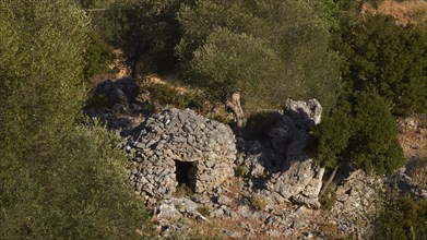 Koumas, traditional stone shelter for shepherds, an old stone ruin nestled among trees in a green