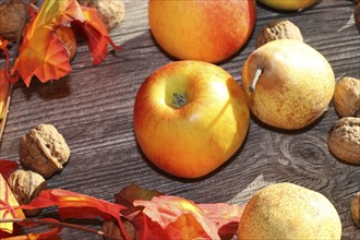 Apples, pears and walnuts on a rustic wooden table as an autumnal motif