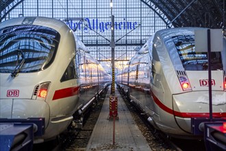 Frankfurt am Main main station, ICE trains, Hesse, Germany, Europe