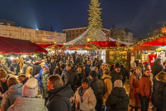 Christmas market at Roncalli Platz am Dom, in the city centre of Cologne, Sunday shopping in