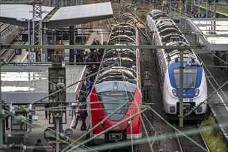 S-Bahn station Wuppertal-Elberfeld, platforms, local train, Wuppertal, North Rhine-Westphalia,