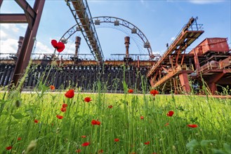 Zollverein Coal Mine Industrial Complex World Heritage Site, Zollverein Coking Plant, colourful