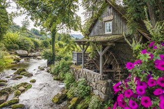 Historic mill, Mühlenweg, Ottenhöfen, Ortenau, Black Forest, Baden-Württemberg, Germany, Europe