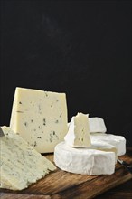 Closeup view of assortment of cheeses with blue mold