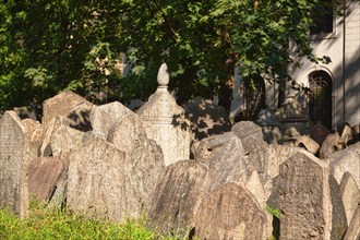 Old Jewish Cemetery, Prague, Czech Republic, Europe