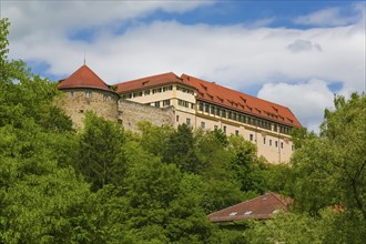 Hohentübingen Palace, Museum of the University of Tübingen MUT, higher education institution,