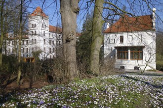 Crocuses, flower carpets, rampart, castle, Aurich, East Frisia, Germany, Europe