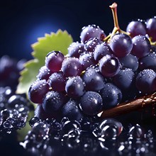 Harvest ready grape bunches with water droplets sparkling in the sunlight, AI generated