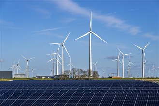 Vopak Solarpark Eemshaven, 19 hectares of solar modules with a capacity of 25 megawatts, around the