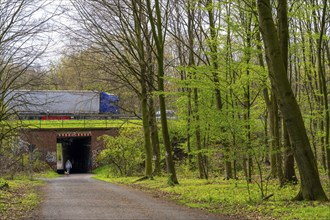 The Sterkrader Wald in Oberhausen, at the Oberhausen motorway junction, where the A2/A3A/A516 meet,