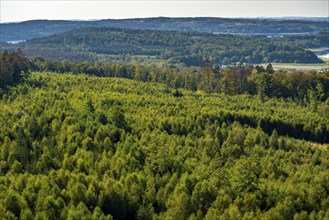 Lake Möhne, reservoir in the northern Sauerland, foothills of the Arnsberg Forest, on the southern