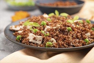 Quinoa porridge with green pea and chicken on ceramic plate on a gray concrete background and