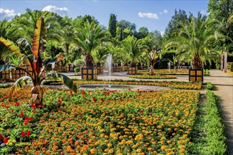 Palm garden in the spa gardens, the largest outdoor palm garden north of the Alps, spa town of Bad