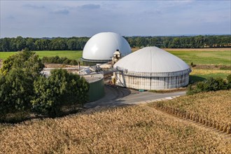 Biogas plant, gas storage, with dome, fermenter tanks for the fermentation process, use of solid