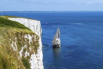 White Cliffs of Old Harry Rocks Jurassic Coast, Dorset Coast, Poole, England, United Kingdom,