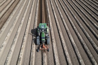 A farmer builds asparagus ridges on a field with the help of an asparagus tiller, in which the