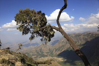 In the highlands of Abyssinia, in the Semien Mountains, landscape in the Semien Mountains National