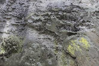 Close-up of eroded rock face in cliff due to wind and water erosion, Elbe Sandstone Mountains,