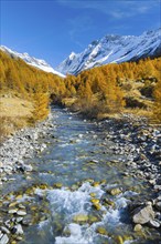 River Lonza with Aletschhorn and Schinhorn, Lötschenlücke, Valais, Switzerland, Europe