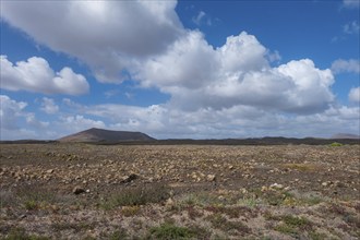 Volcanic landscape, fire mountains, volcanoes, Lanzarote, Canary Islands, Spain, Europe