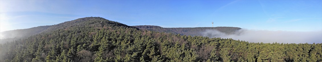 Panorama of the Palatinate Forest