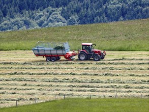 A tractor harvesting hay, Welschensteinach, 20 05 2023