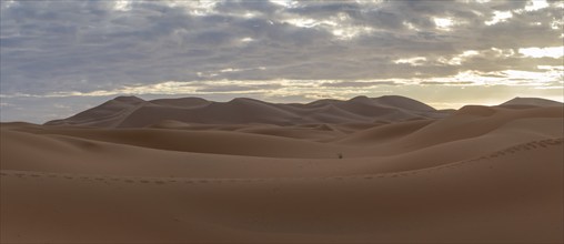 Sunrise in the desert, dunes, Erg Chebbi, Sahara, Merzouga, Morocco, Africa