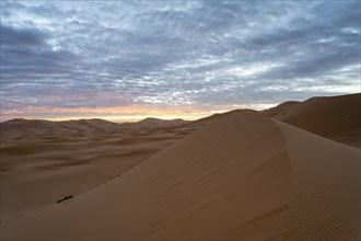 Sunrise in the desert, dunes, Erg Chebbi, Sahara, Merzouga, Morocco, Africa